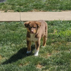 20250901_115503-1024x1024 (1) Betty