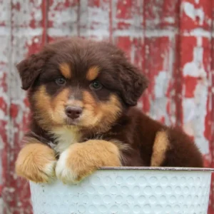 Logan-2-1024x1024 (1) Logan