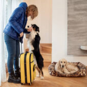 Woman saying Good Bye to her pet dogs.