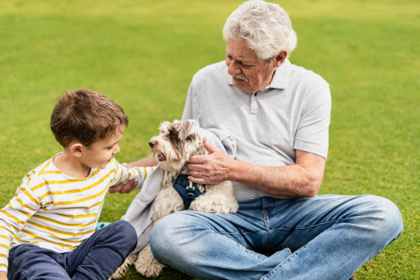 Senior man with his dog in park